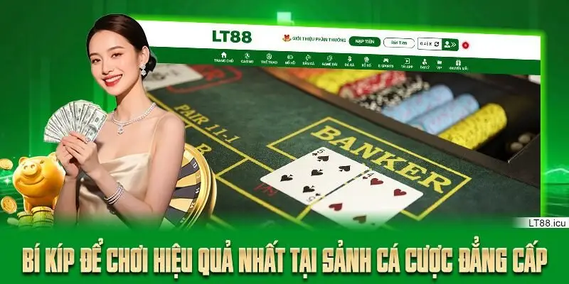 Bí kíp để chơi hiệu quả nhất tại sảnh cá cược đẳng cấp