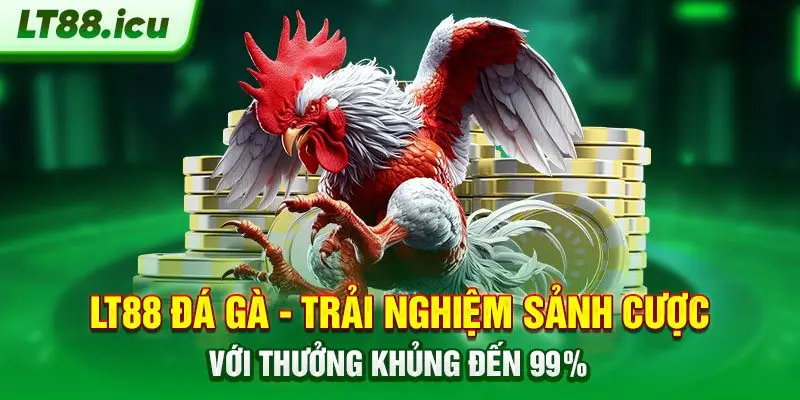 LT88 Đá Gà - Trải Nghiệm Sảnh Cược Với Thưởng Khủng Đến 99%